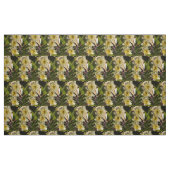 春用ダフォジル ファブリック (ファットクウォーター)