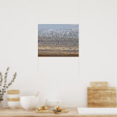 春移行時に雪ガチョウ ポスター (キッチン)