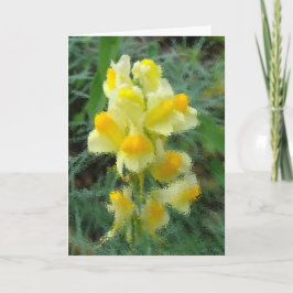 春空白のカードへようこそ カード