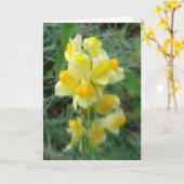 春空白のカードへようこそ カード (黄色い花)