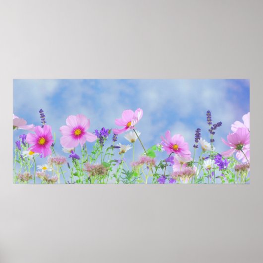 春空 ポスター (正面)