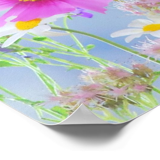 春空 ポスター (角)