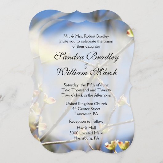 春結婚式招待状 招待状 (正面/裏面)