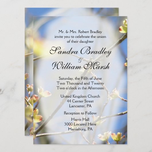 春結婚式招待状 招待状 (正面/裏面)