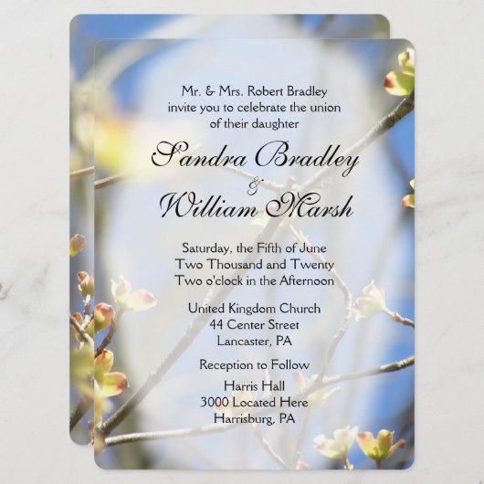 春結婚式招待状 招待状 (正面/裏面)