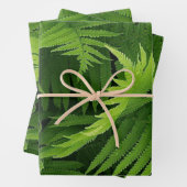 春緑シダの写真包装紙シート ラッピングペーパーシート (インサイチュ)