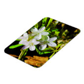 春美しいアパープルワイルドフラワー抽象芸術 マグネット (左側)