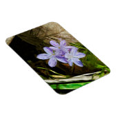 春美しいアパープルワイルドフラワー抽象芸術 マグネット (右側)