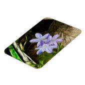 春美しいアパープルワイルドフラワー抽象芸術 マグネット (左側)