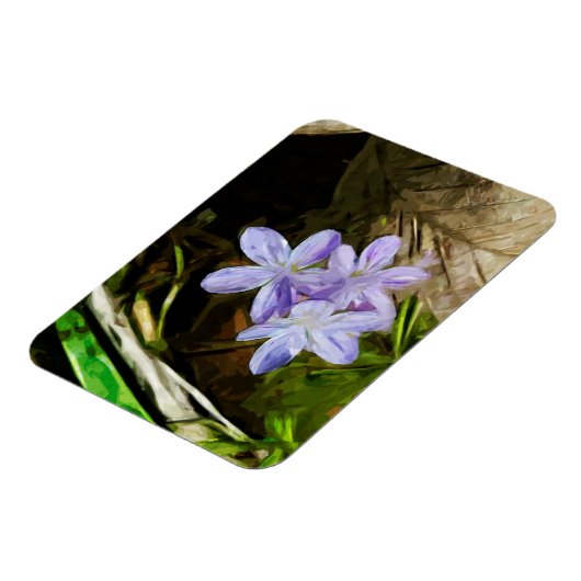 春美しいアパープルワイルドフラワー抽象芸術 マグネット (左側)