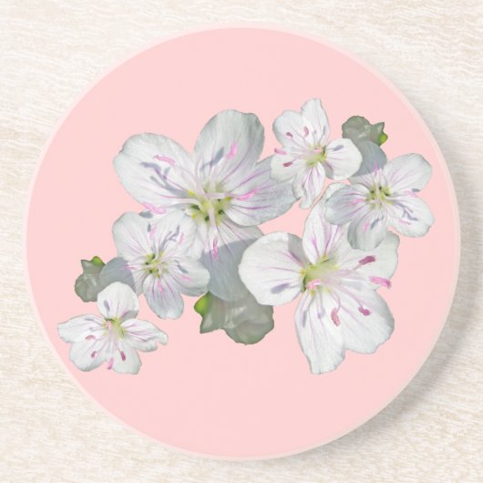 春美しいワイルドフラワー調整項目 コースター (正面)