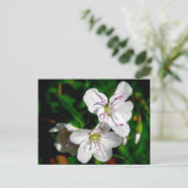 春美しいワイルドフラワー調整項目 ポストカード (スタンド正面)