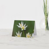 春美しい折り畳みサンキューカード サンキューカード (正面)