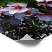 春美しい日本のMAGNOLIAポスター ポスター (角)