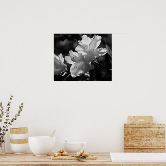 春美しい ポスター (キッチン)