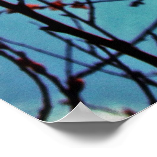 春花のポスター ポスター (角)