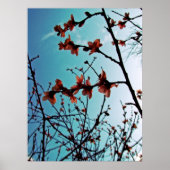 春花のポスター ポスター (正面)