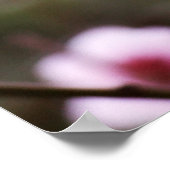 春花のポスター ポスター (角)