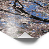 春花の傘 フォトプリント            (角)