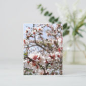 春花はがき ポストカード (スタンド正面)