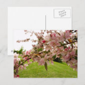 春花束 ポストカード (正面/裏面)