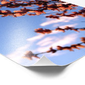 春花花写真 フォトプリント            (角)