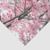 春花見フェスティバルティッシュペーパー 薄葉紙 (詳細)