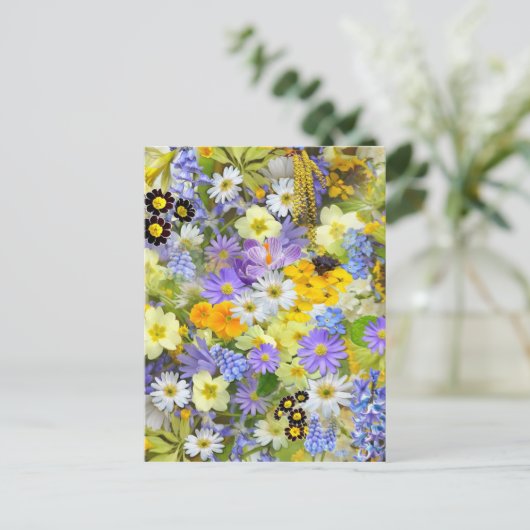 春花選択 ポストカード (スタンド正面)