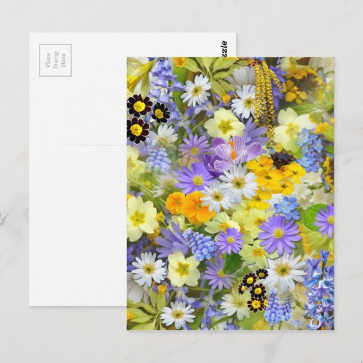 春花選択 ポストカード (正面/裏面)