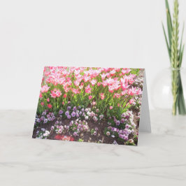 春花2 シーズンカード