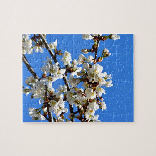 春花 ジグソーパズル (横)