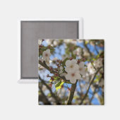 春花 マグネット (正面/裏面)