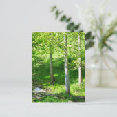 春葉はがき ポストカード (スタンド正面)