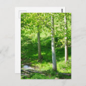 春葉はがき ポストカード (正面/裏面)