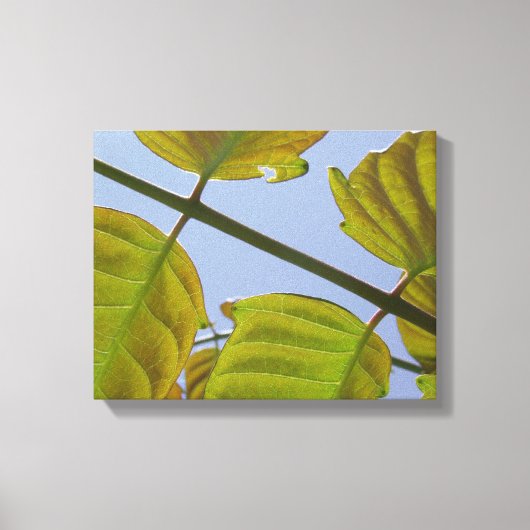 春葉キャンバスプリント キャンバスプリント (正面)