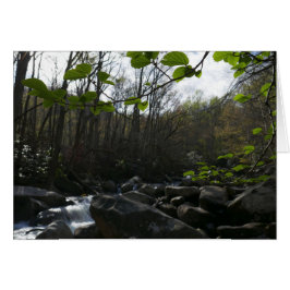 春葉ズアットリトルピジョンリバー