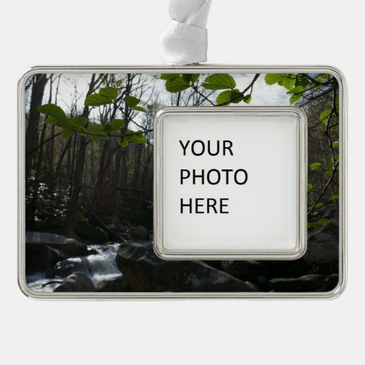 春葉ズアットリトルピジョンリバー シルバープレートフレームオーナメント (正面)