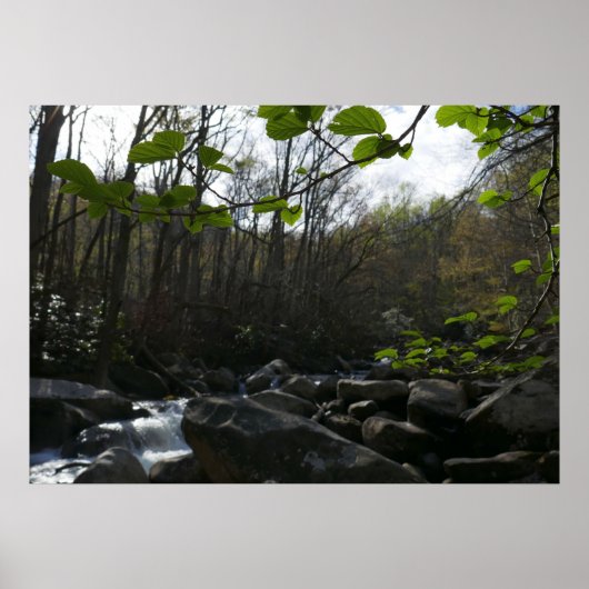 春葉ズアットリトルピジョンリバー ポスター (正面)