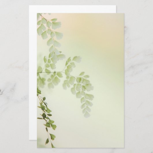 春葉 便箋 (正面/裏面)