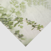 春葉 薄葉紙 (詳細)