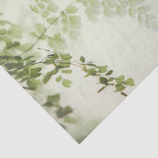 春葉 薄葉紙 (詳細)