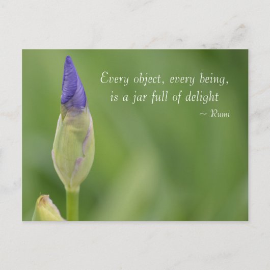 春虹彩 ポストカード (正面)