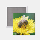 春蜂 マグネット (正面/裏面)