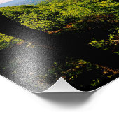 春表示 フォトプリント            (角)