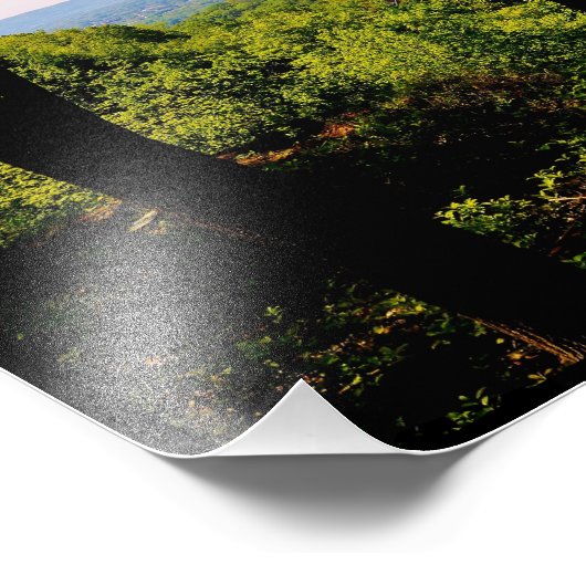 春表示 フォトプリント            (角)