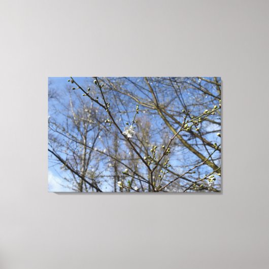 春覚醒 キャンバスプリント (正面)