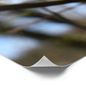 春覚醒 ポスター (角)