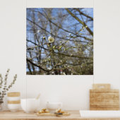 春覚醒 ポスター (キッチン)