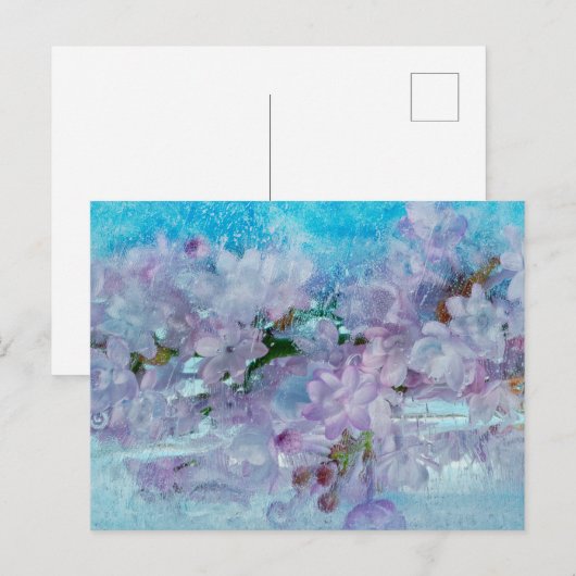 春覚醒 ポストカード (正面/裏面)