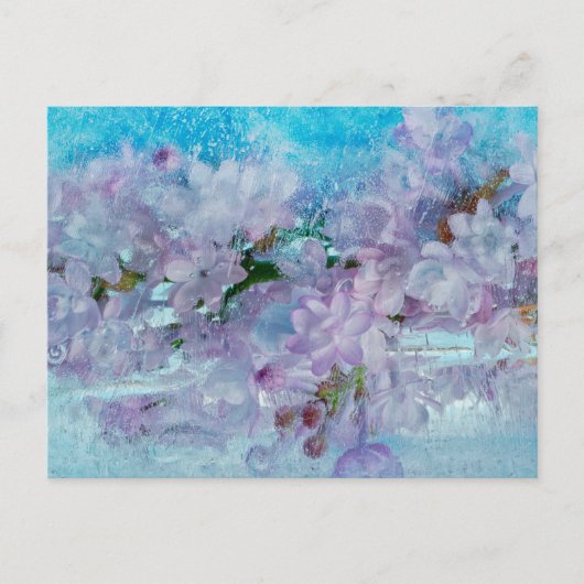 春覚醒 ポストカード (正面)